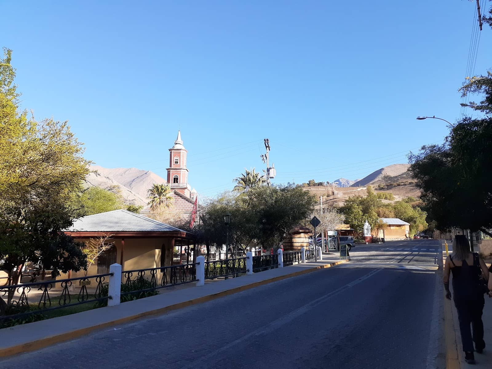 Arandano Vestidos