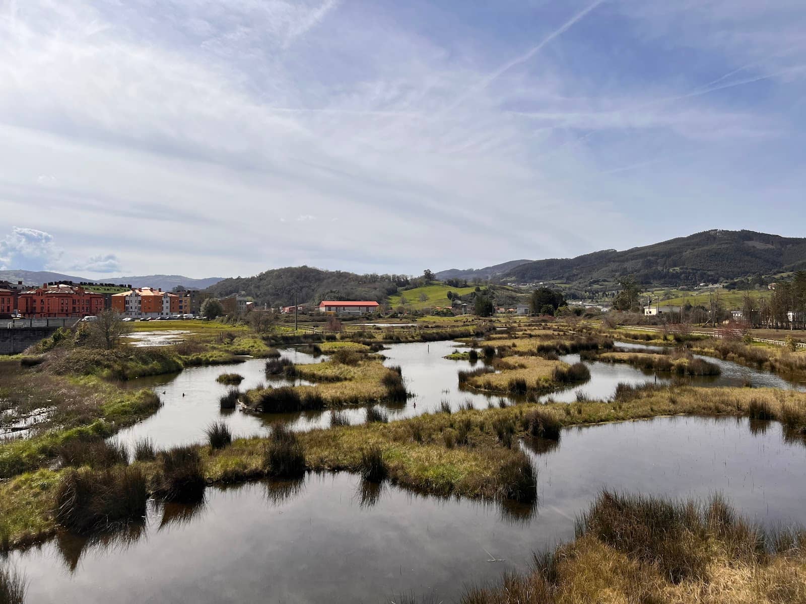 Peaceful Nature Walks