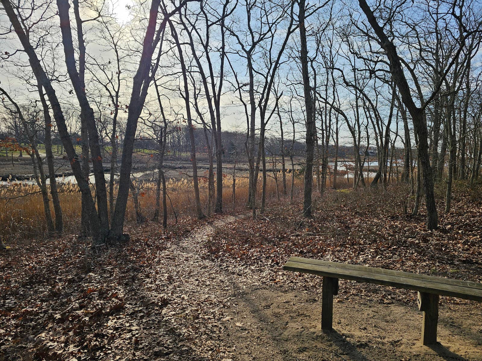 Vineyard & Creek Border