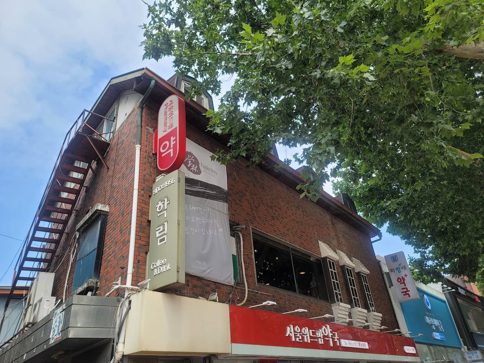 Crustless Cheesecake