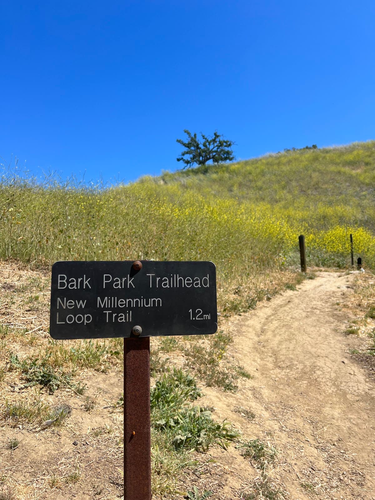 Calabasas Bark Park - Image 1