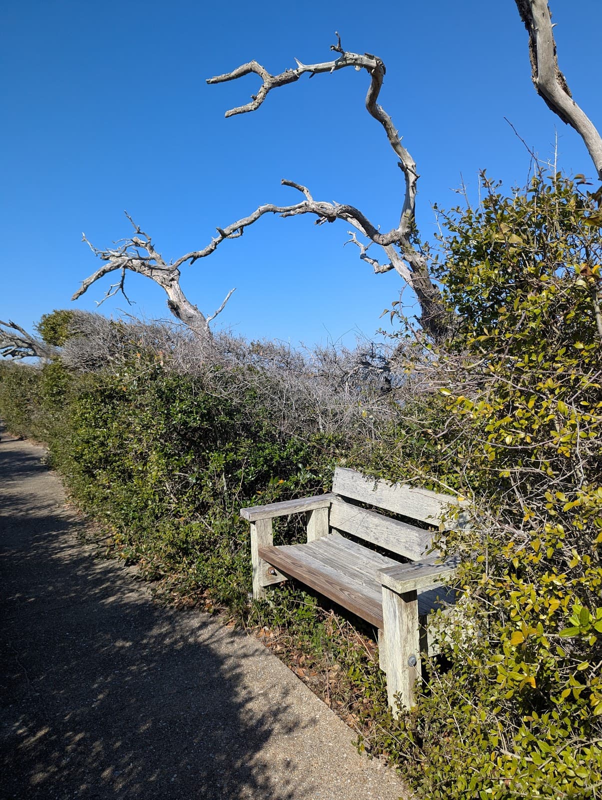 Pea Island Visitor Center - Image 1