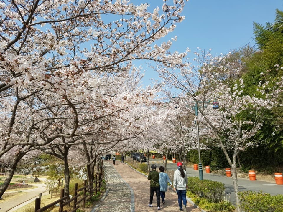 Seonam Lake Park - Image 1