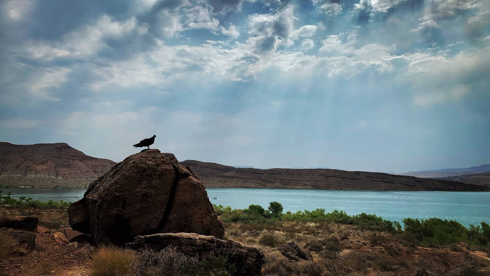 Quail Creek Overlook Trail