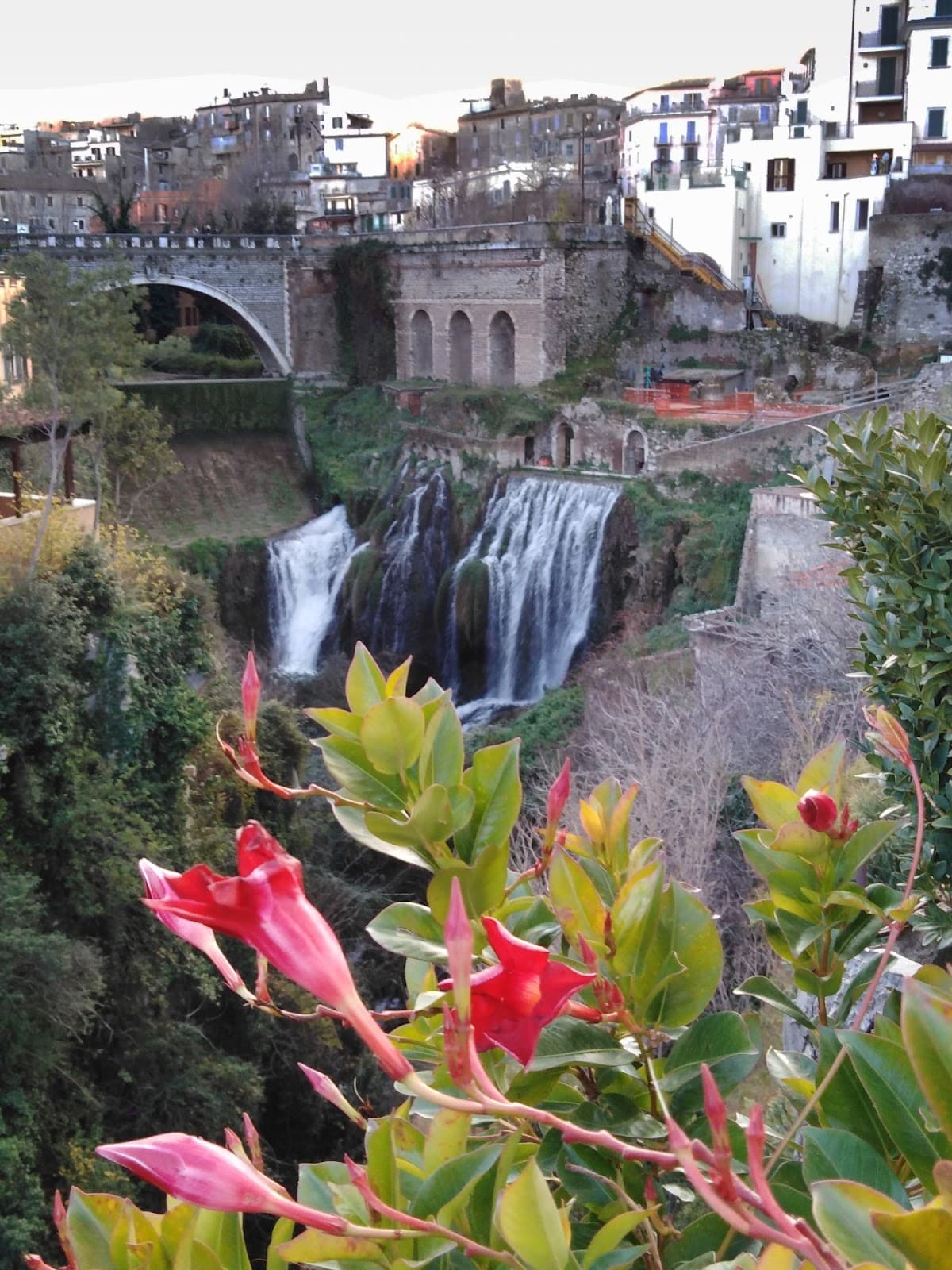Tivoli - Image 1