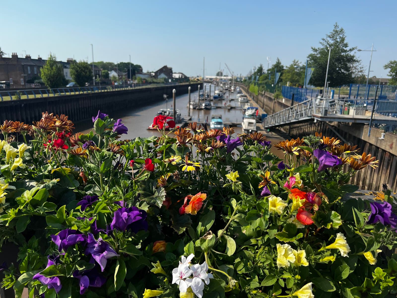Freedom Bridge - Image 1