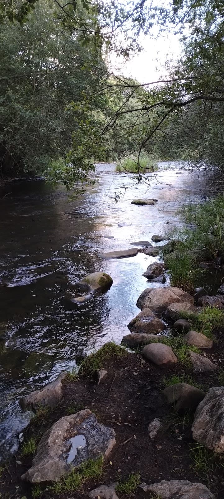 Paseo del Río Sil - Image 1