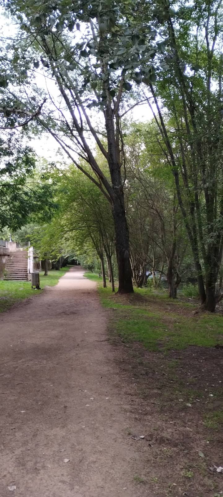 Vertical photo