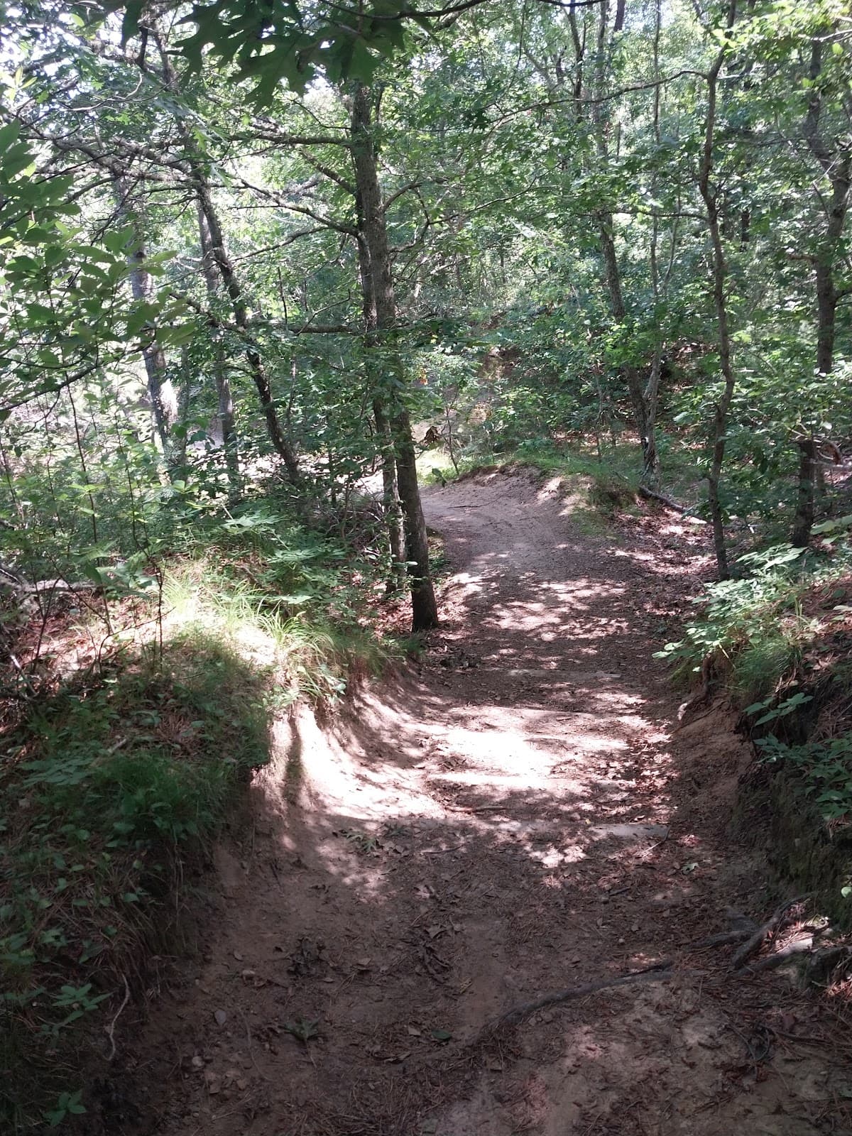 Santuit Pond Preserve - Image 1
