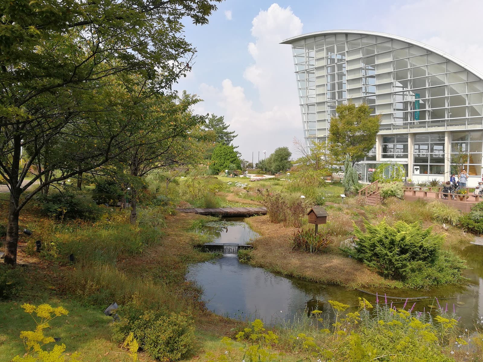 Blue Bonnet Wildflower Garden - Image 1