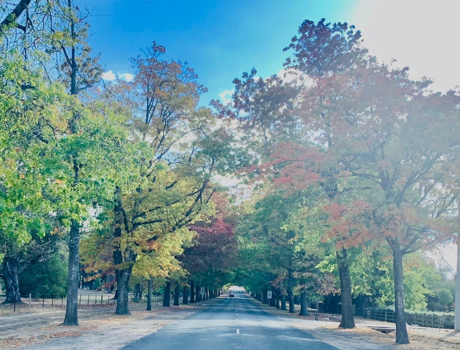 Honour Avenue (Macedon) - Image 1