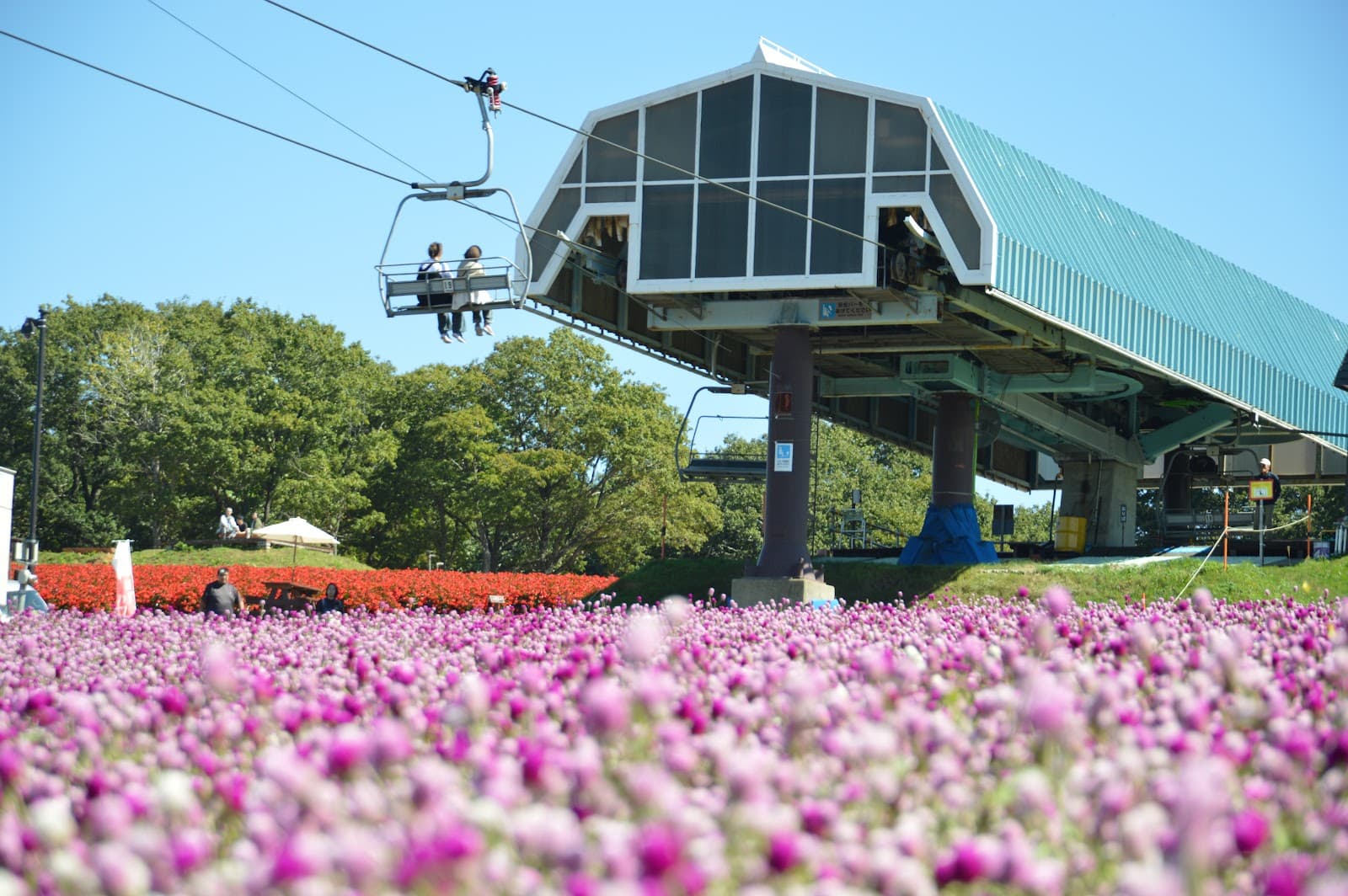 Hirugano Picnic Garden - Image 1