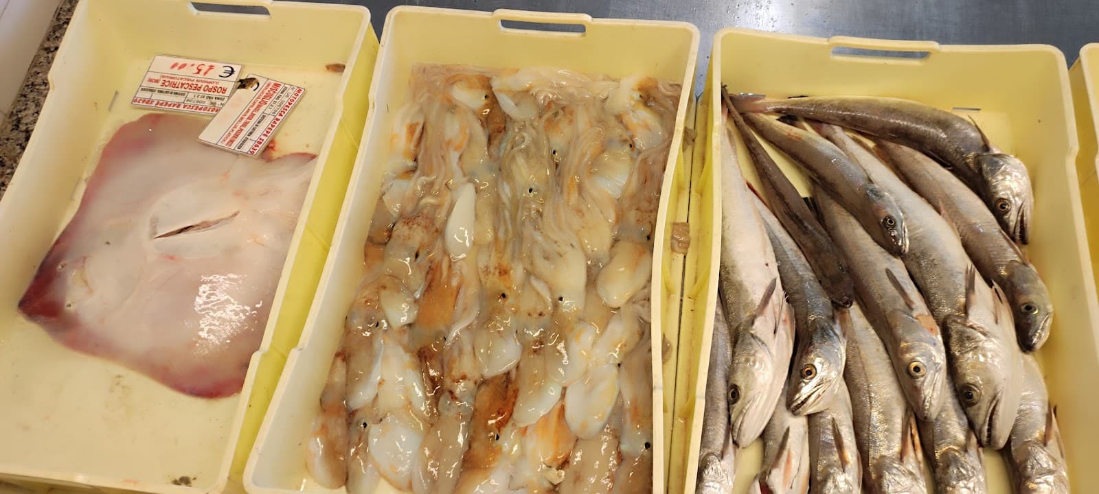 Mercato Ittico all'Ingrosso - Image 1