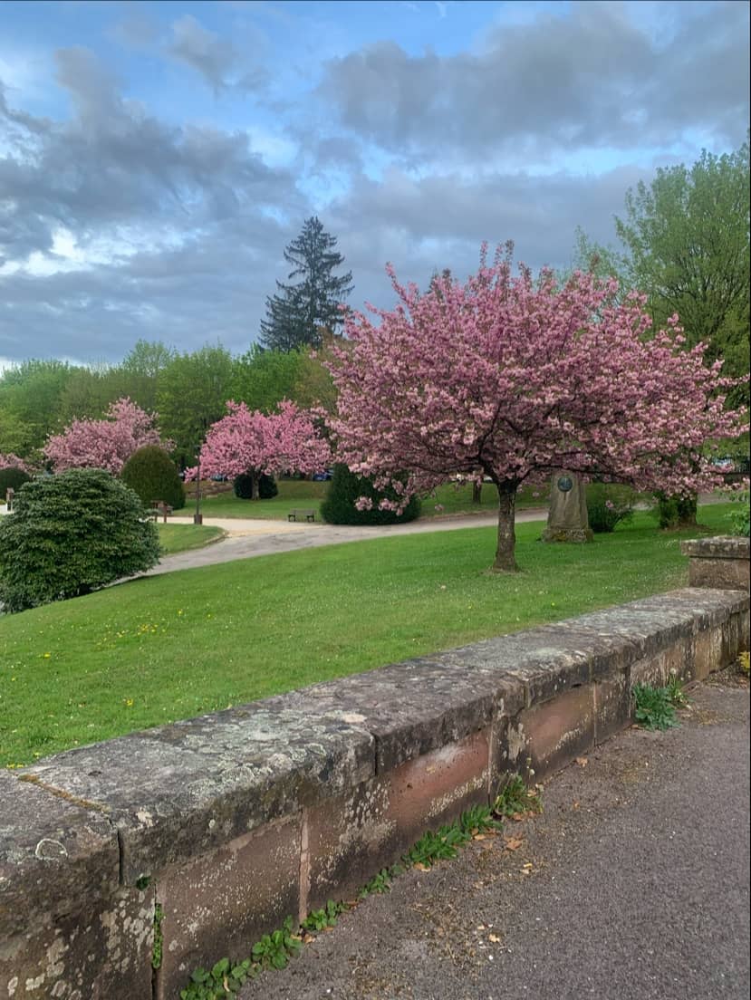 Relaxing Green Spaces