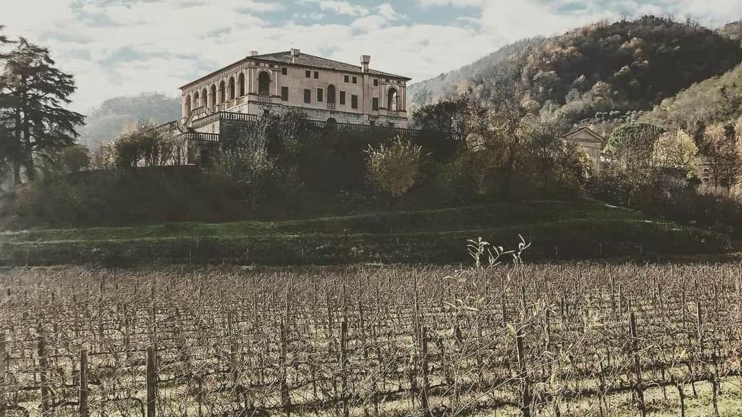 Villa dei Vescovi - Image 1