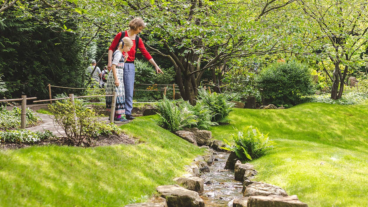 Gärten der Welt (Japanese Garden) - Image 1