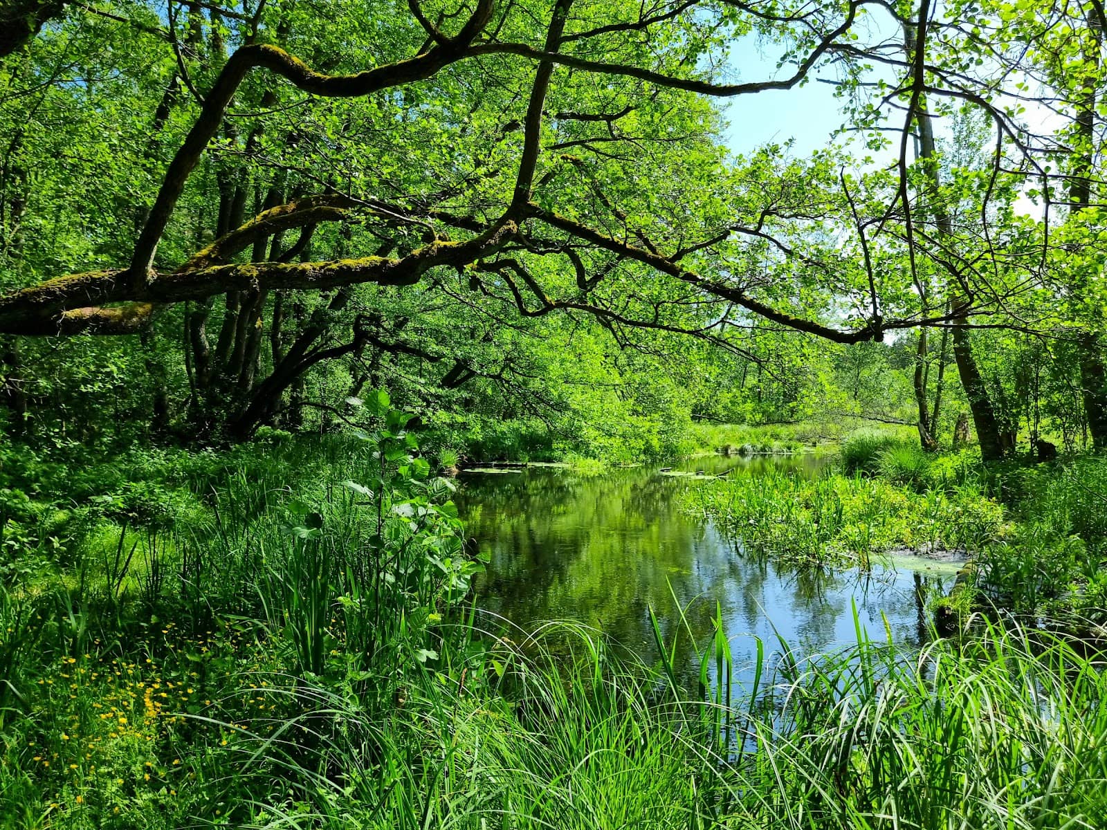 Nature Trails
