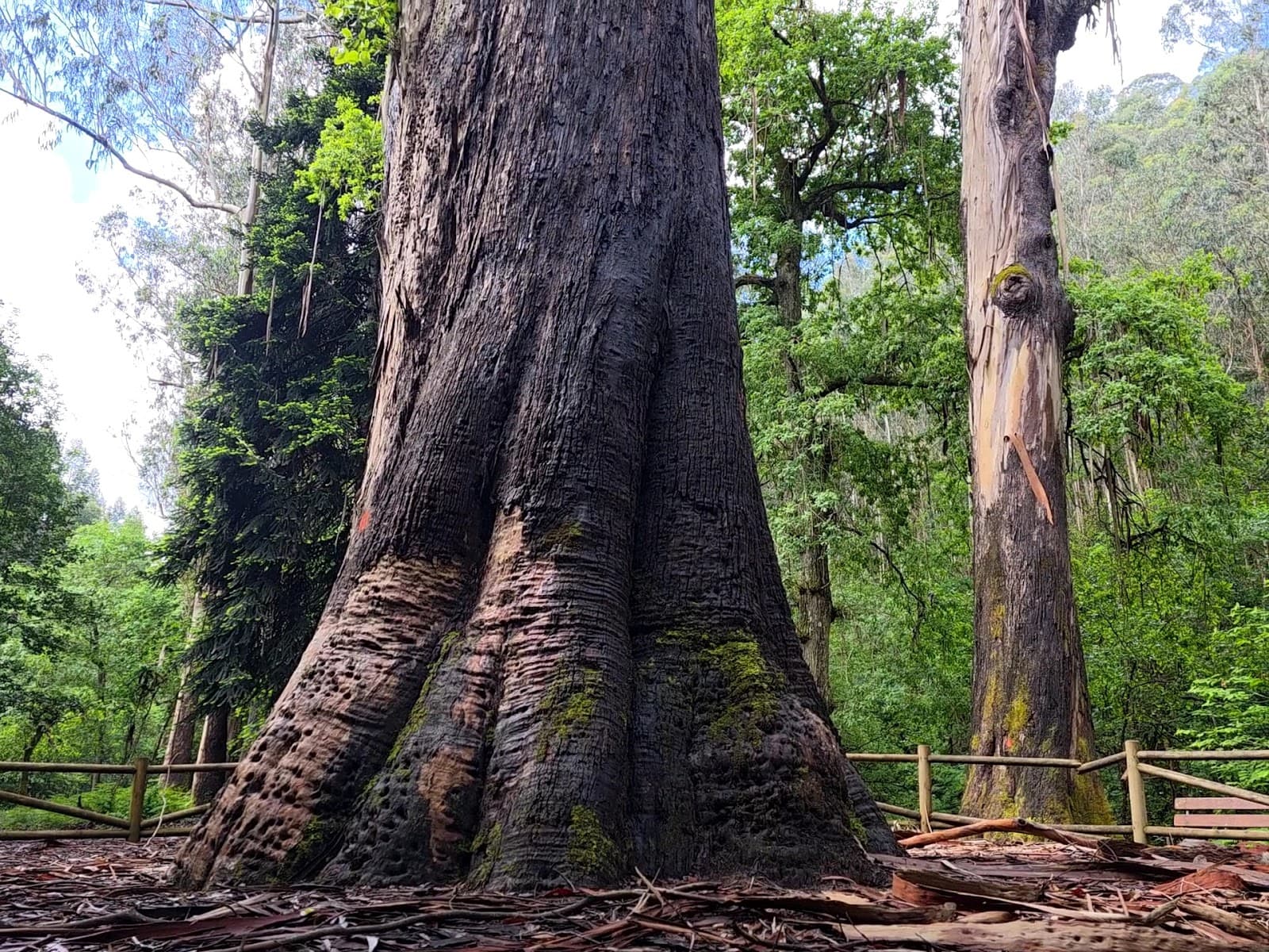 Souto da Retorta Chavín - Image 1