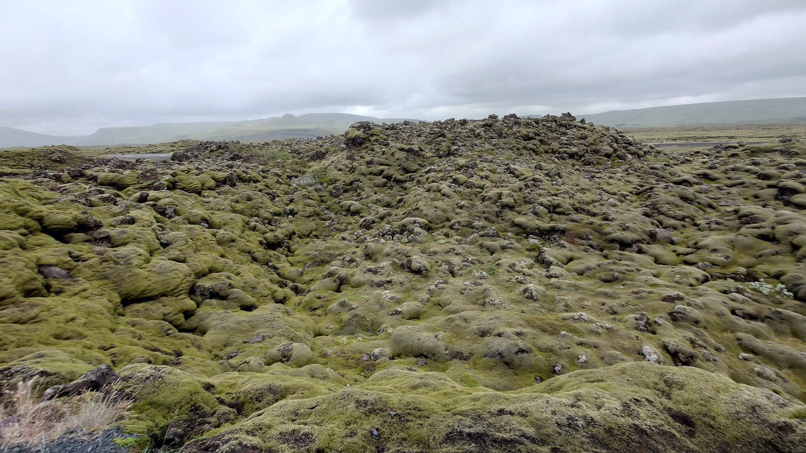 Eldhraun Lava Field - Image 1