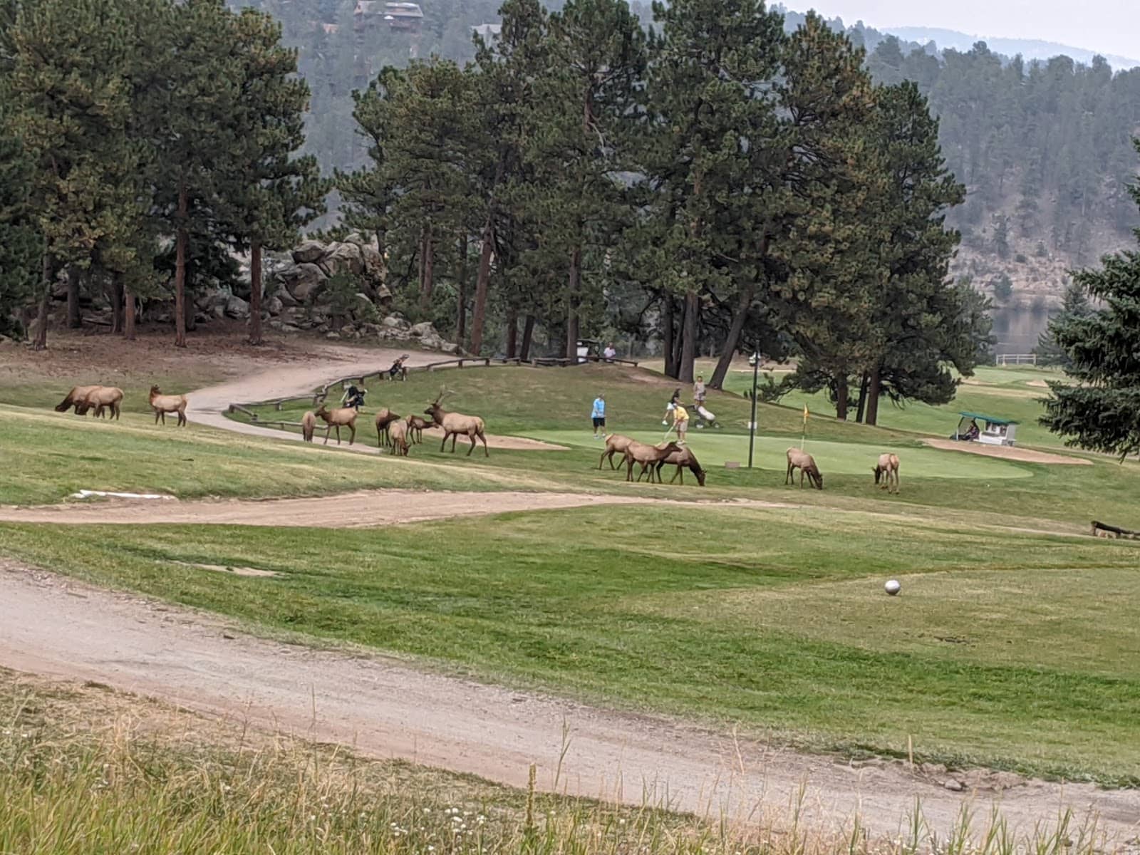 The Iconic Blind Par 3