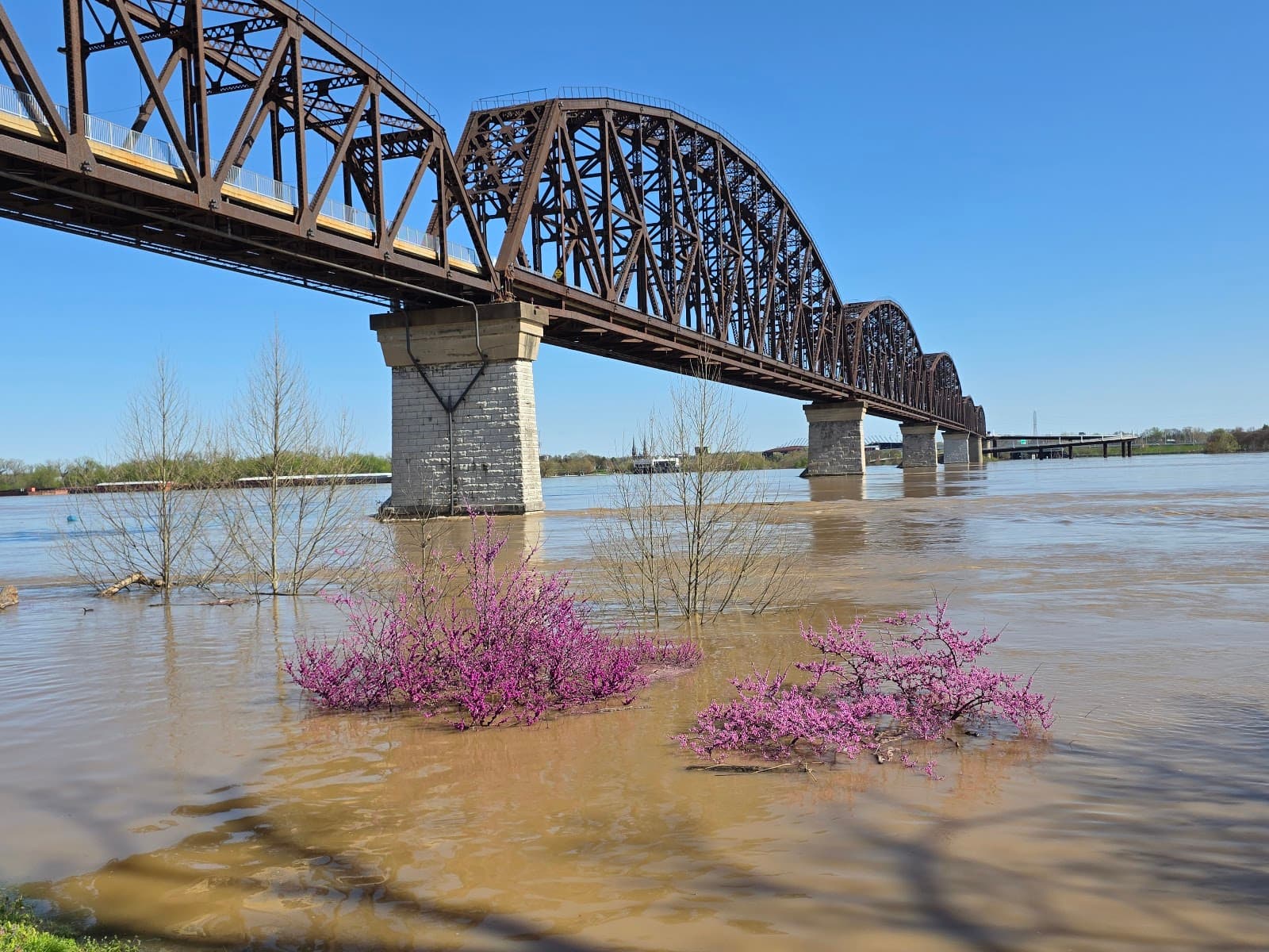 Jeffersonville RiverStage - Image 1