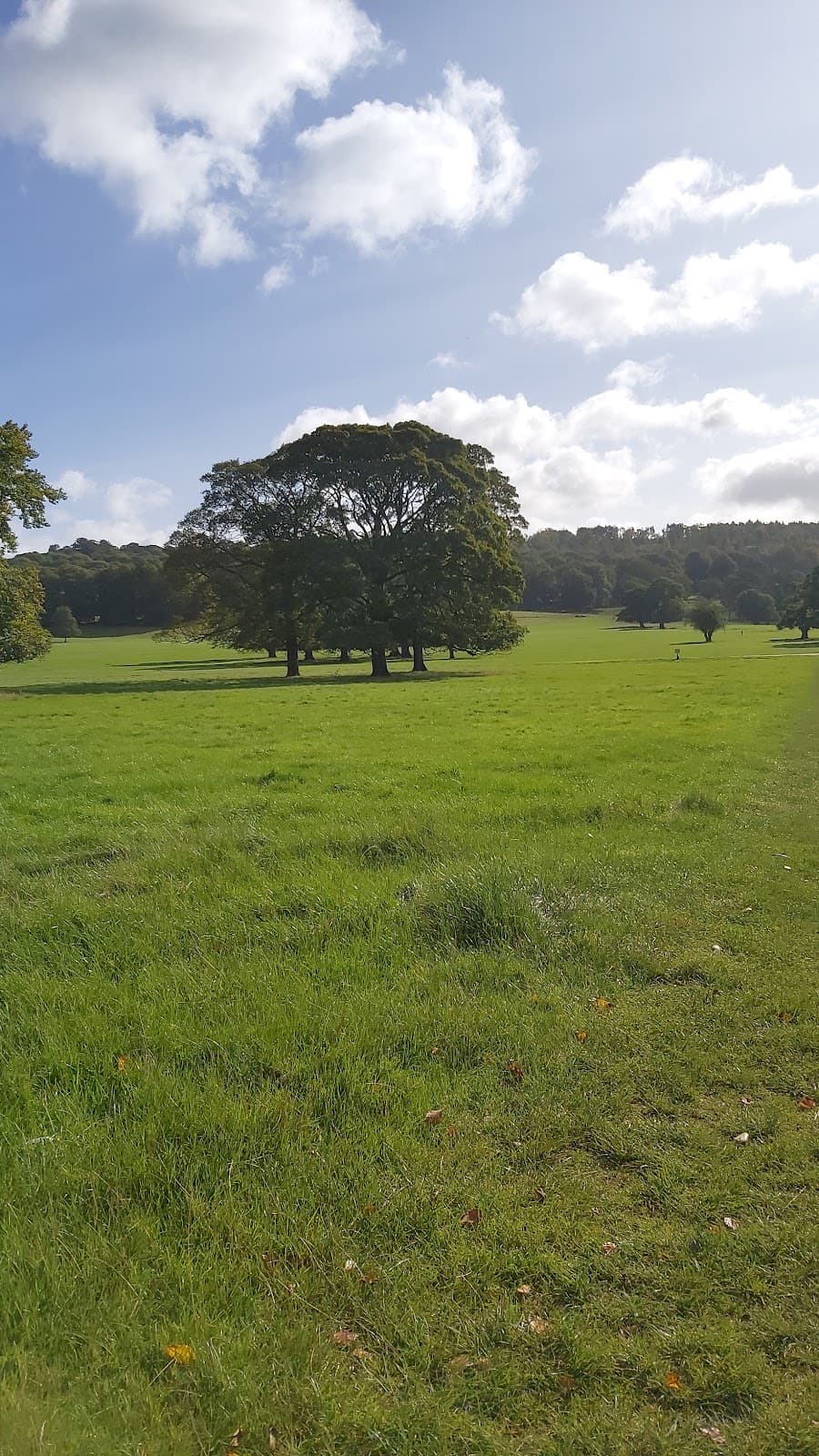 St Michael's Hathersage - Image 1