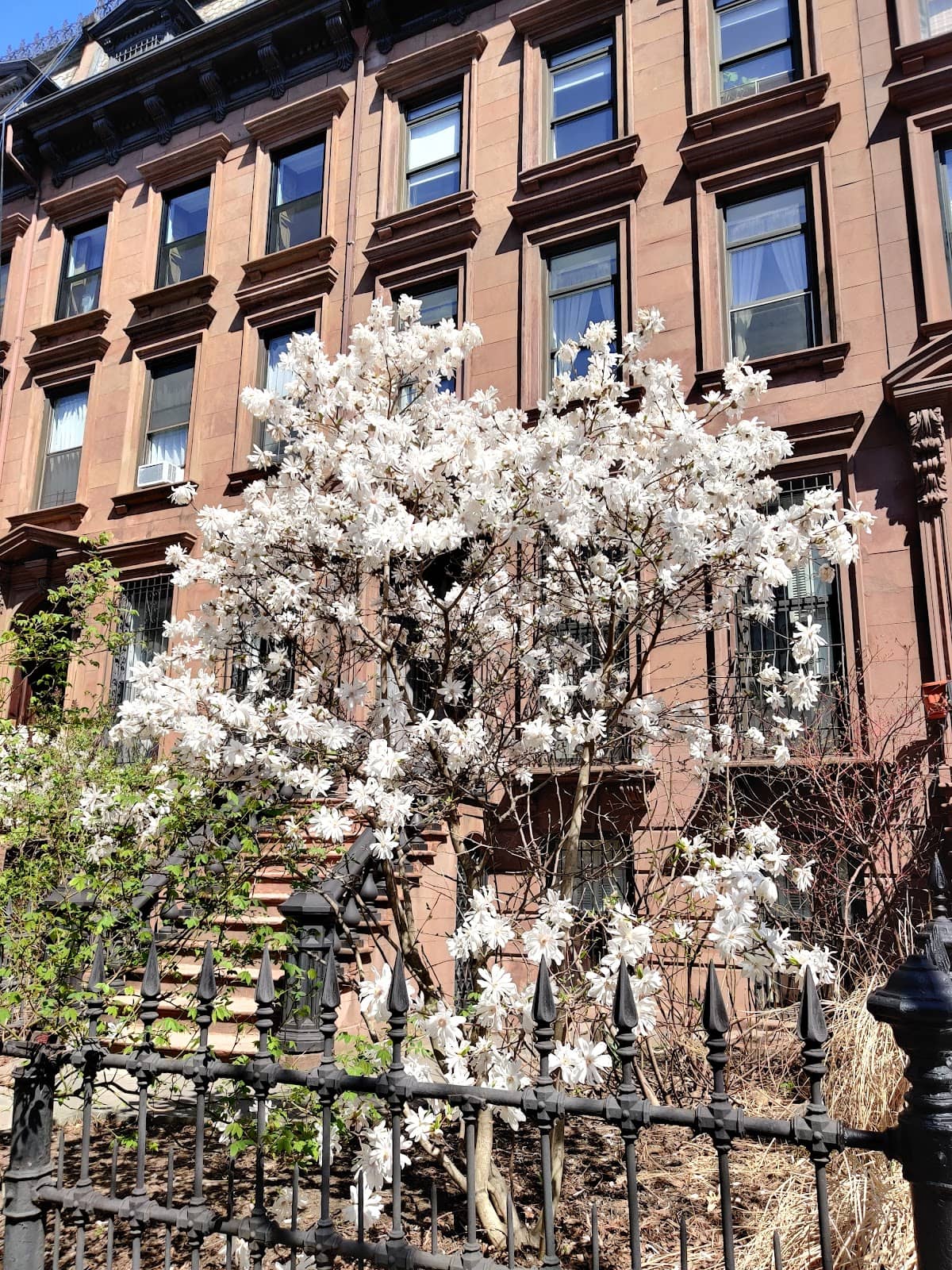 Historic Brownstones