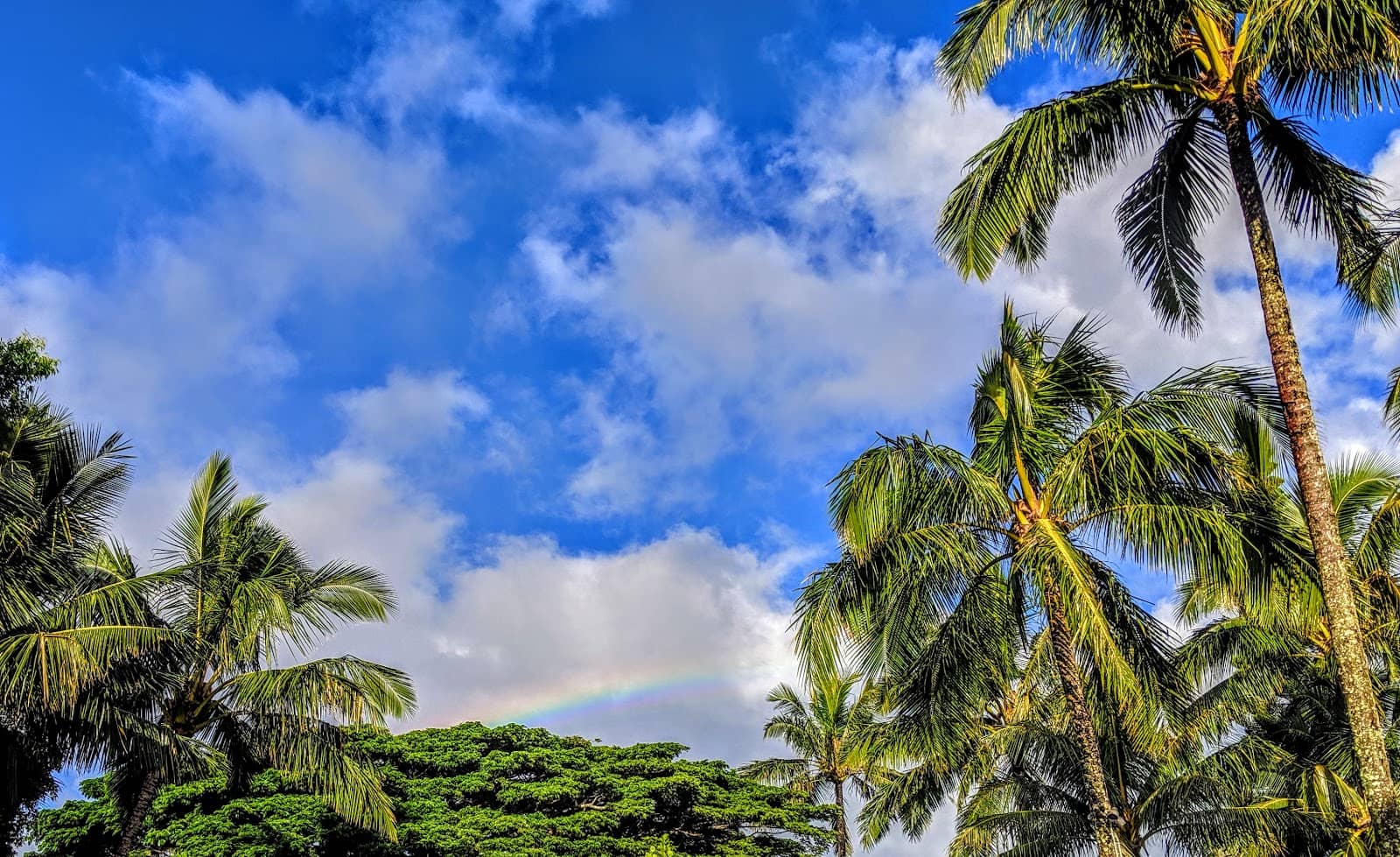 Hanalei Valley Lookout