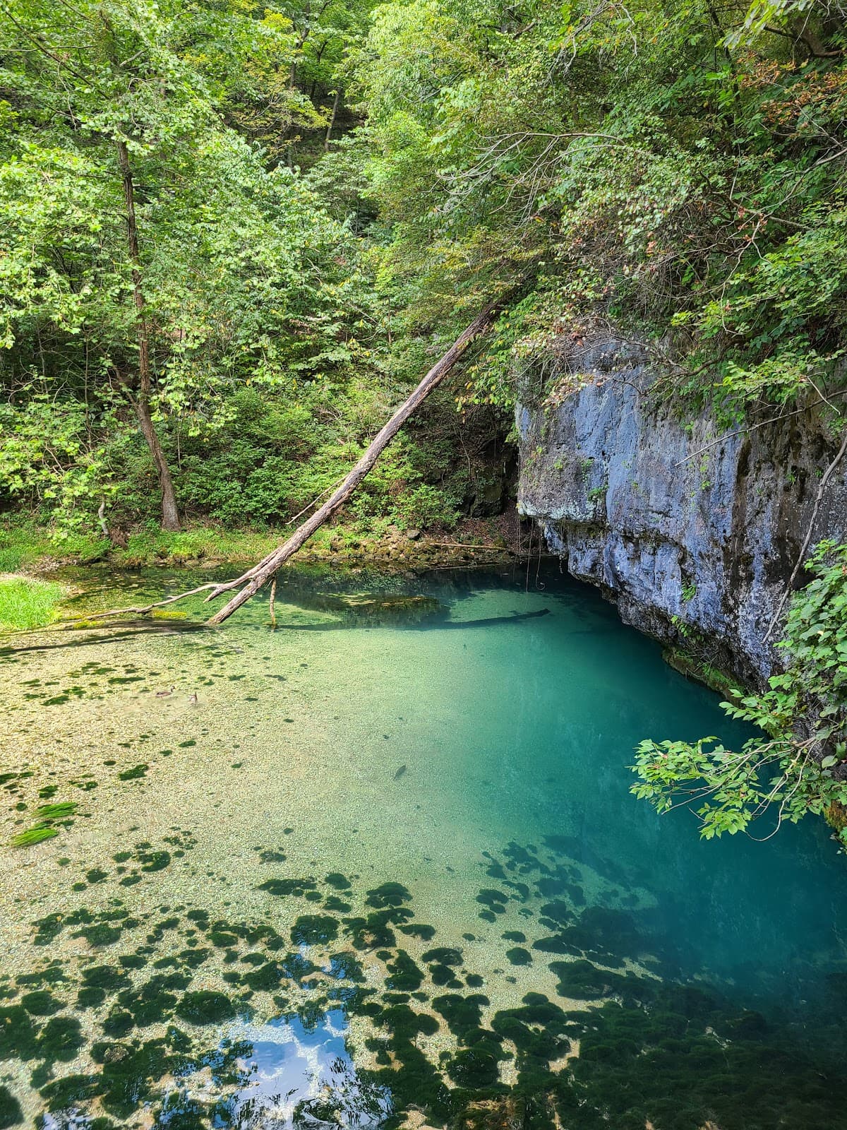 Ha Ha Tonka Spring - Image 1