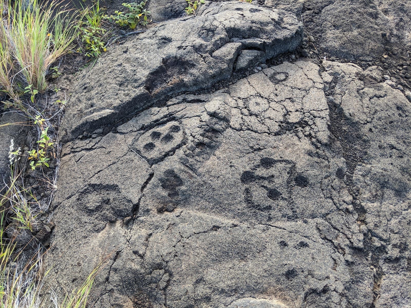 Puuloa Petroglyphs - Image 1