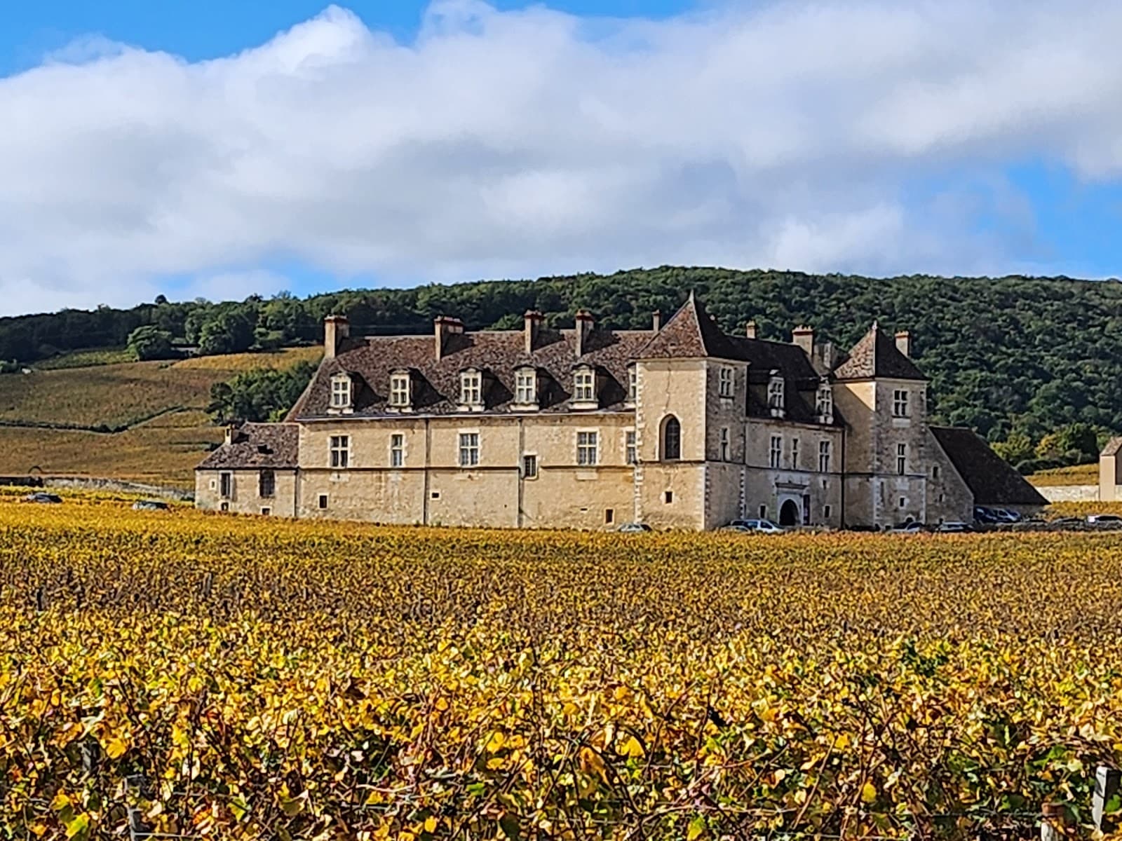 Château du Clos de Vougeot - Image 1