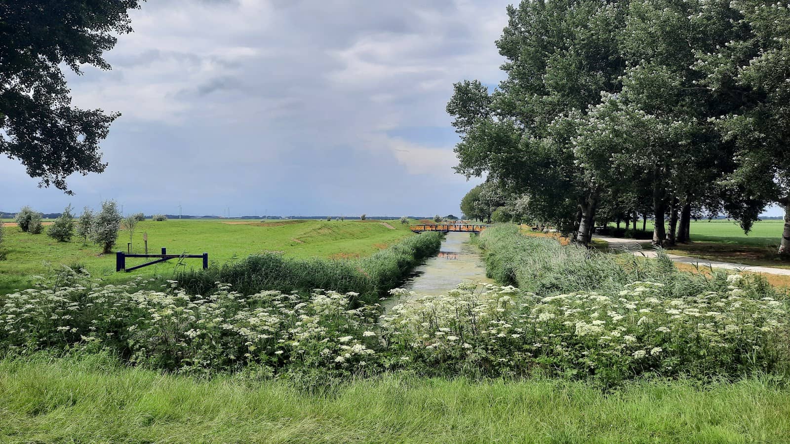 The Bridges and Hills