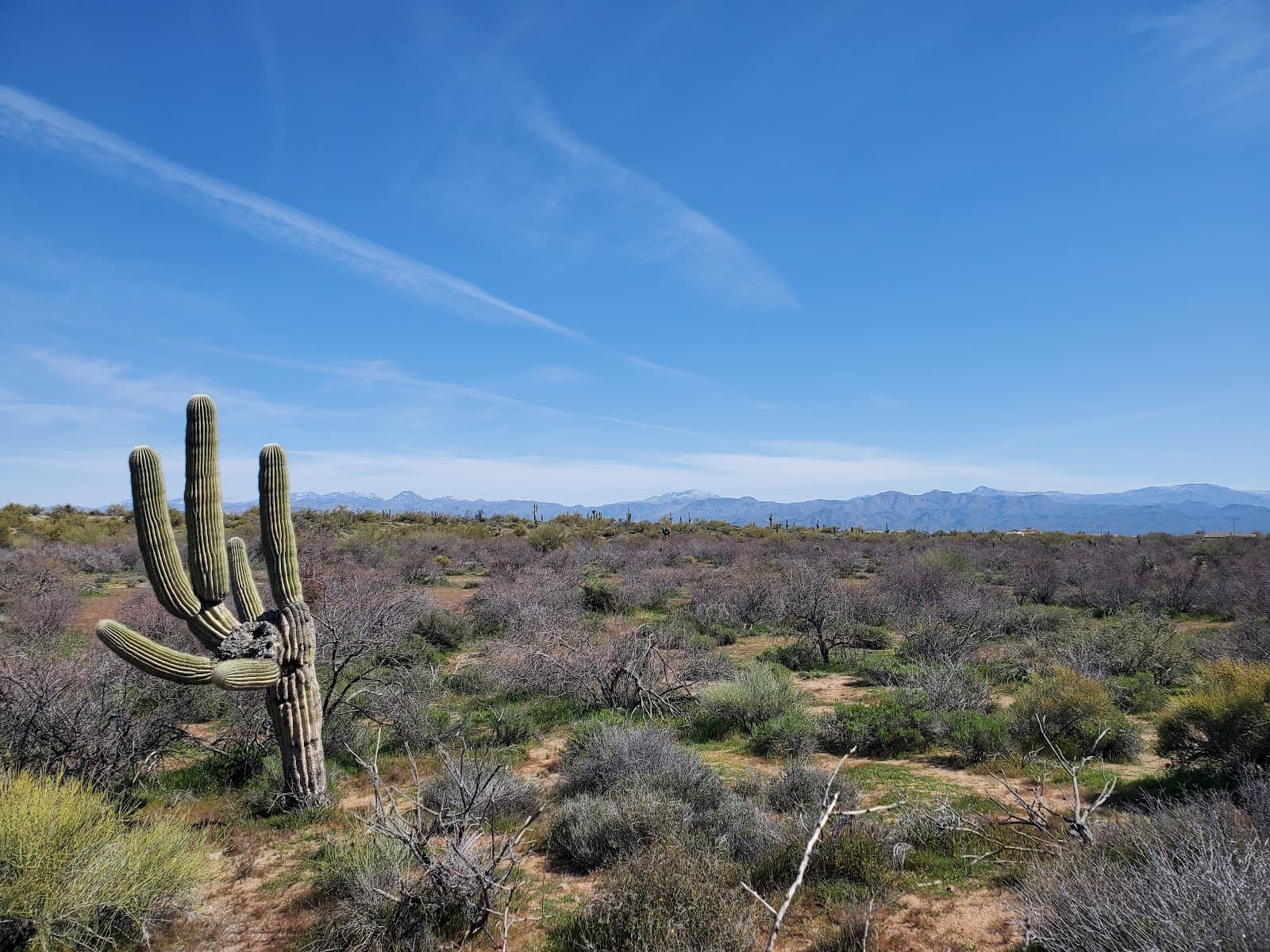 Fraesfield Trailhead - Image 1