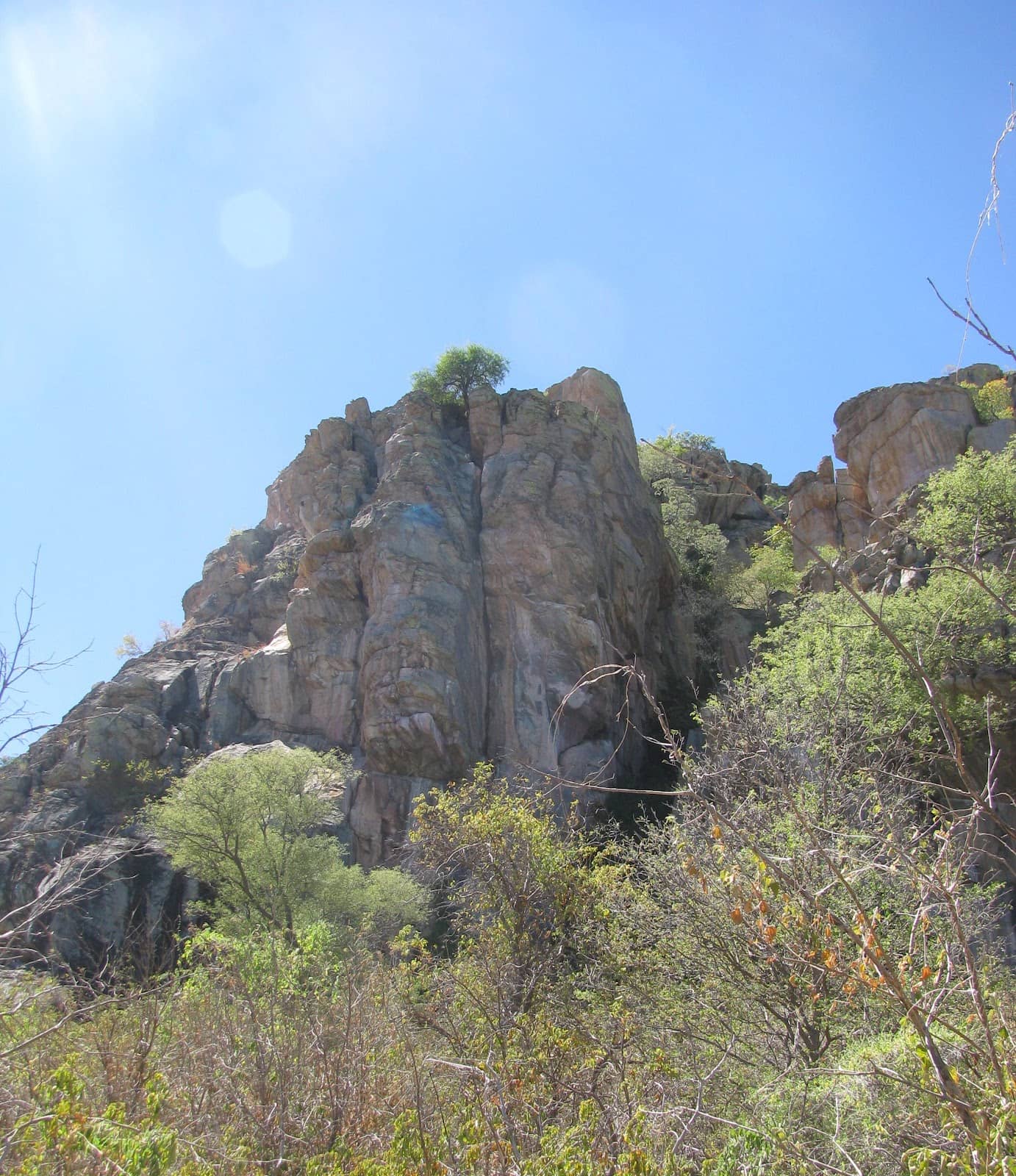 Vertical photo
