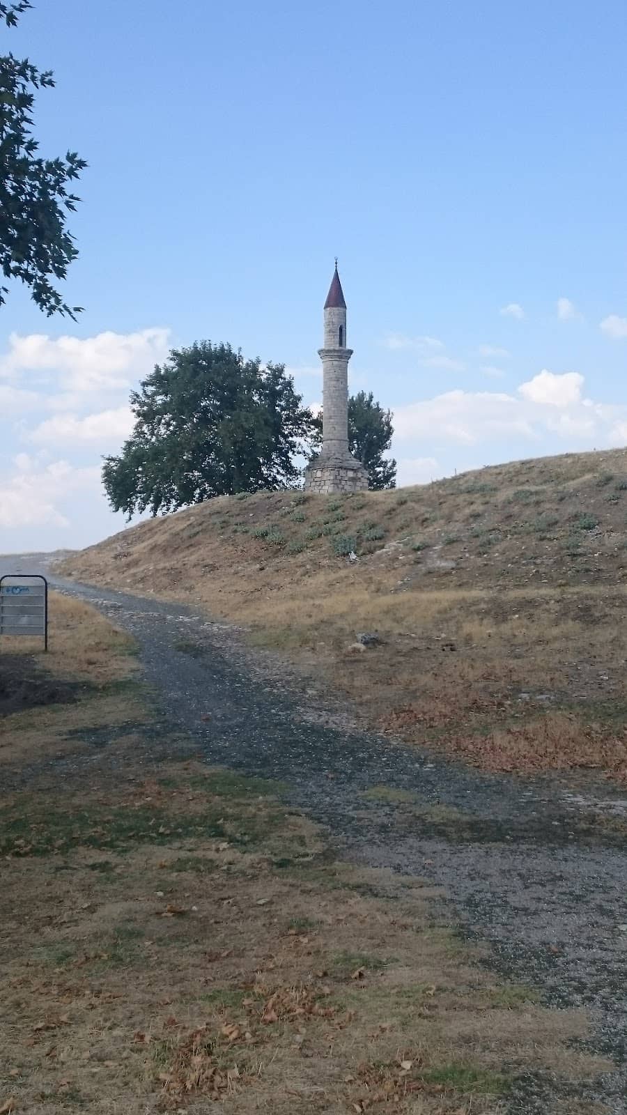 Vertical photo