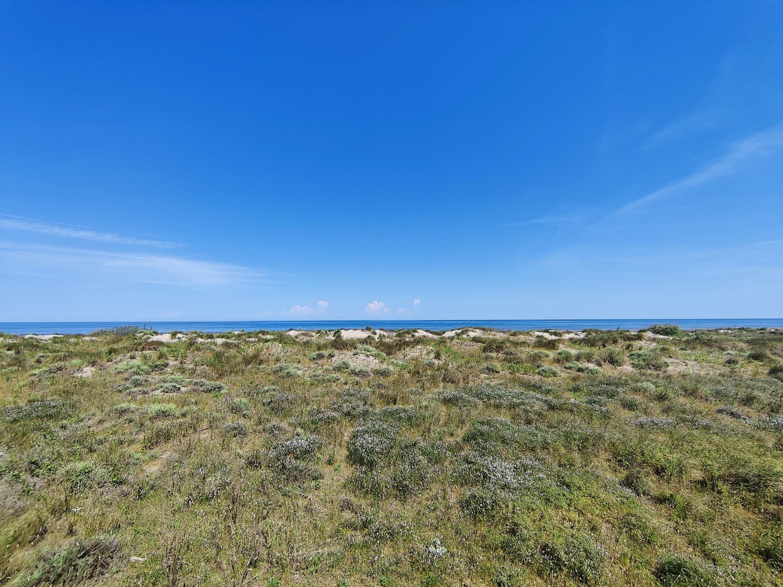 Porto Caleri Coastal Botanic Garden - Image 1