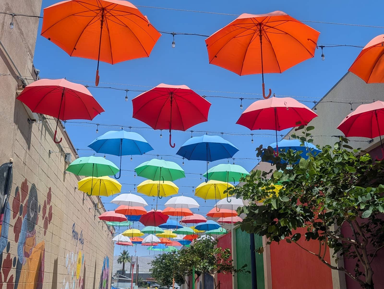 Vintage Shops on Miles Street