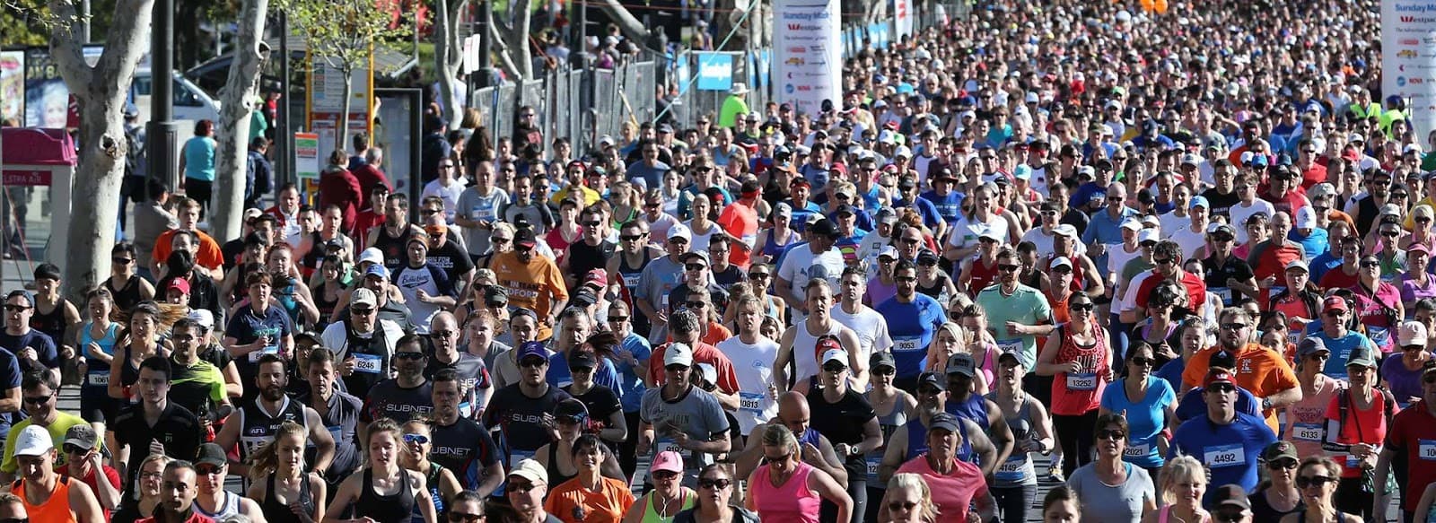 Glenelg Tram Adelaide - Image 1
