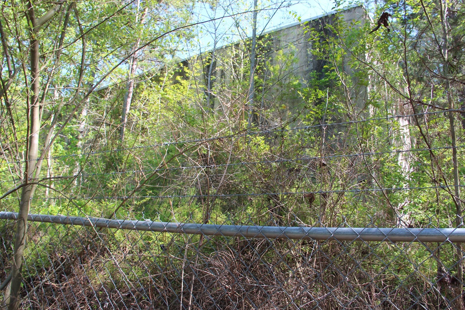 Dawson Forest WMA (City of Atlanta Tract) - Image 1