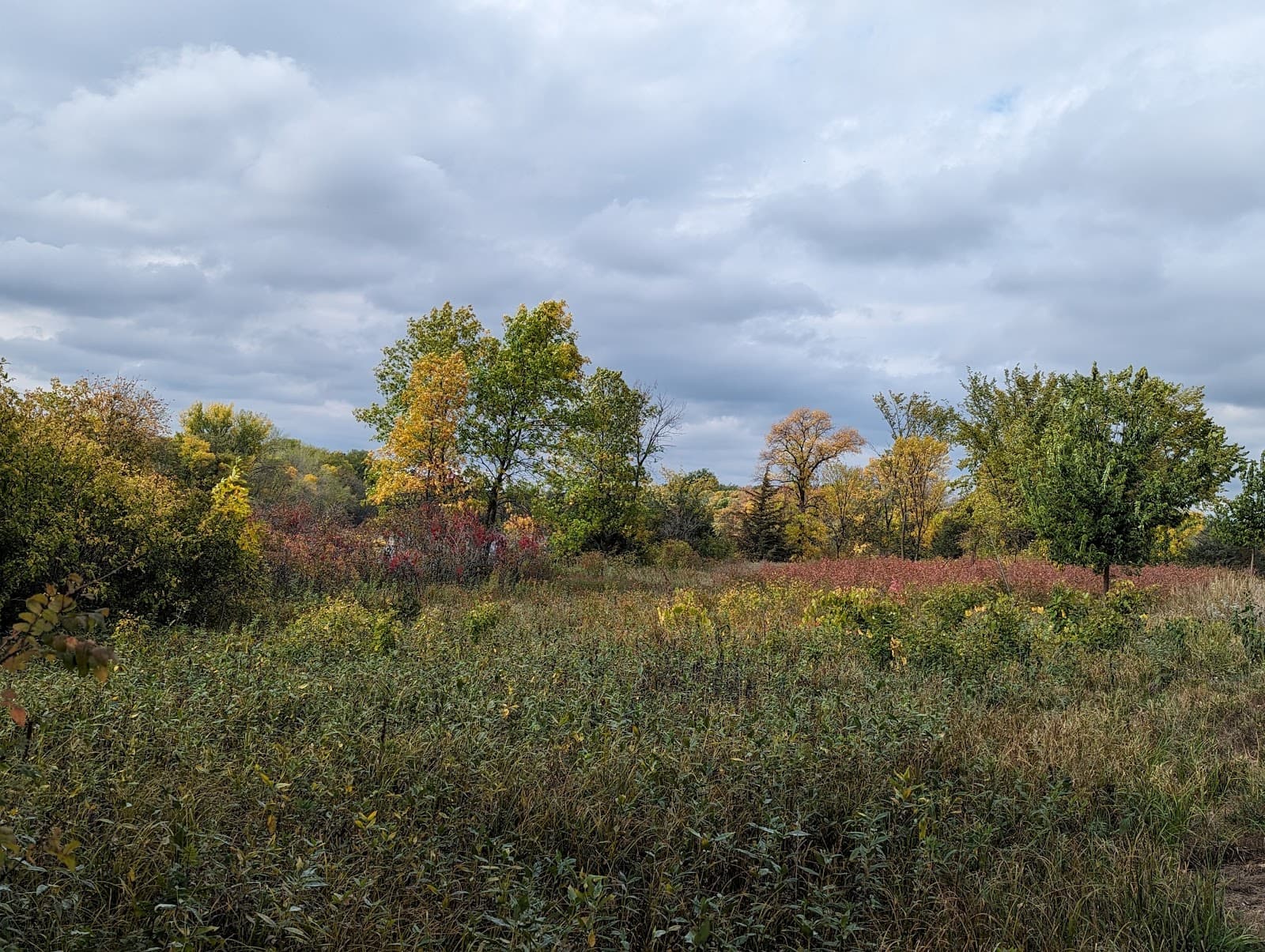 Mississippi West Regional Park - Image 1