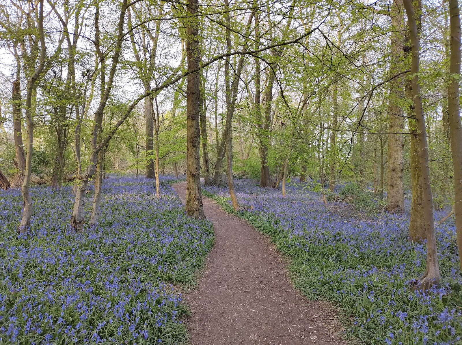 Great Ashby District Park - Image 1