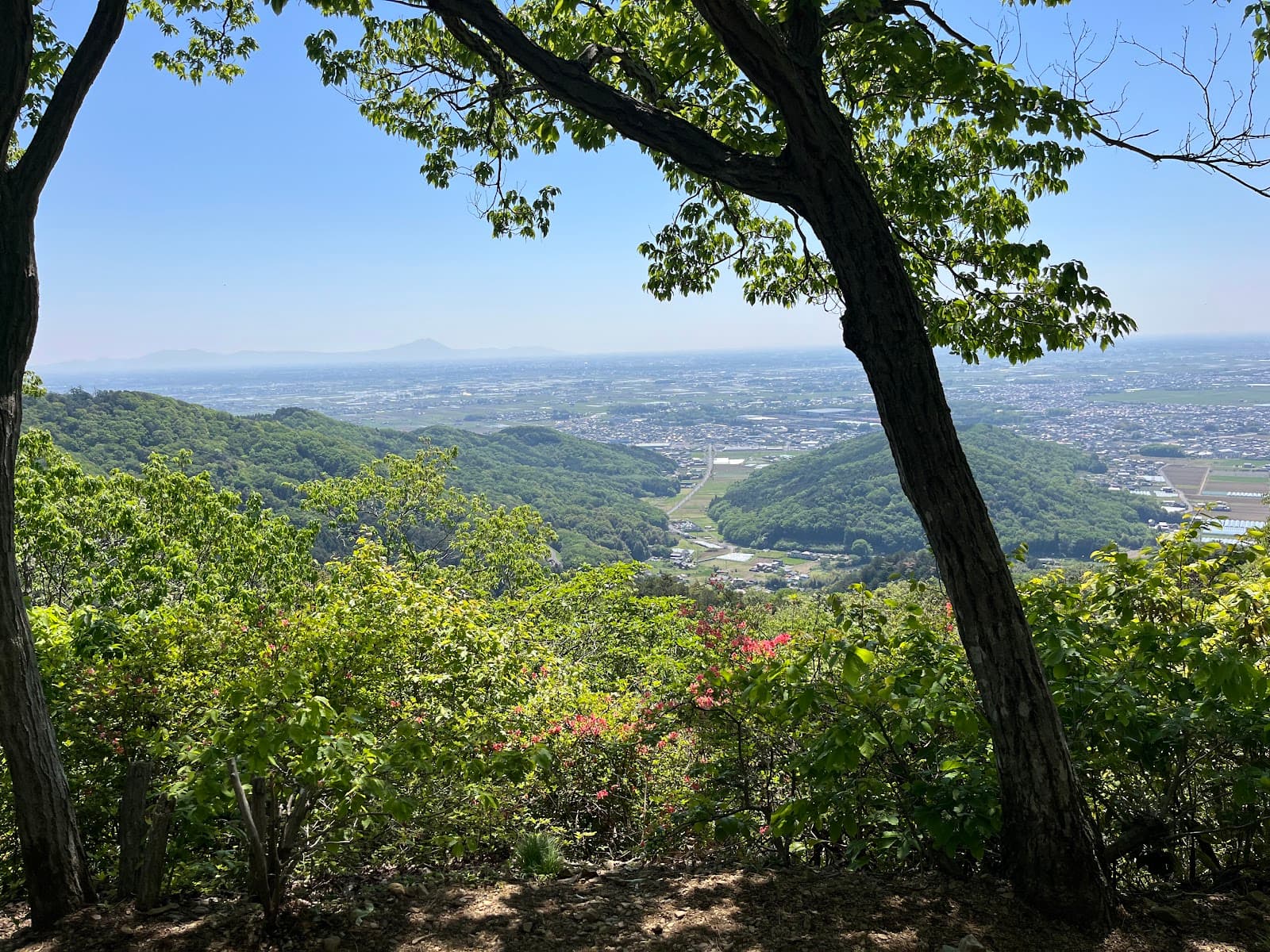 Ohira Plum Grove (Ohira Baien) - Image 1