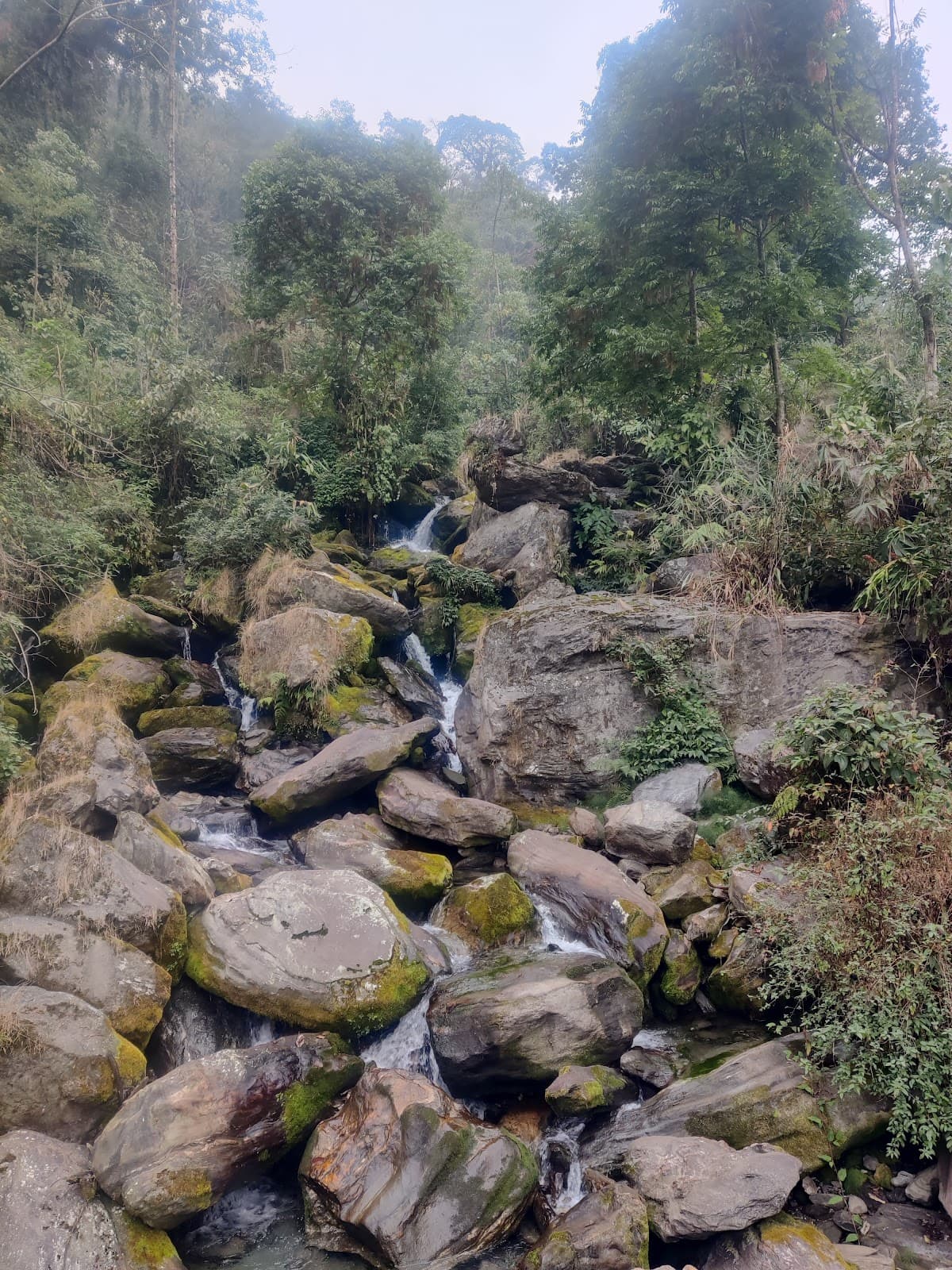 Lingdem Hot Springs Dzongu - Image 1
