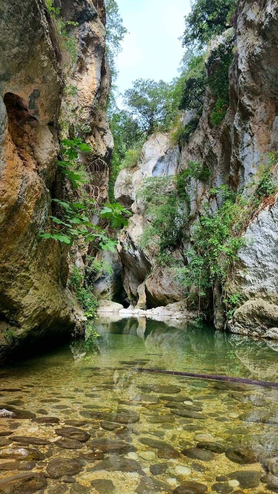 Vertical photo