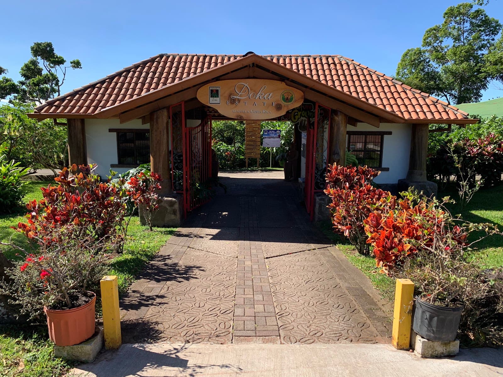 Doka Estate Coffee Tour - Image 1