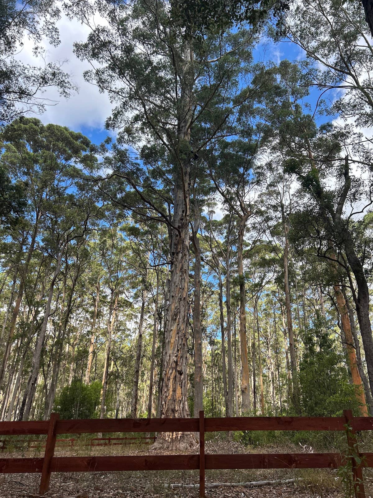 Picnic & Relaxation Spot
