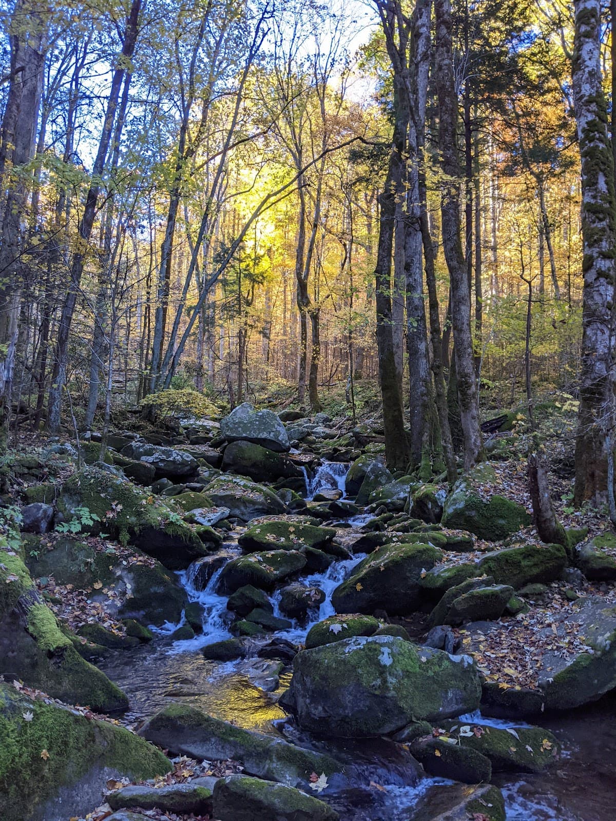 Low Gap Trail - Image 1