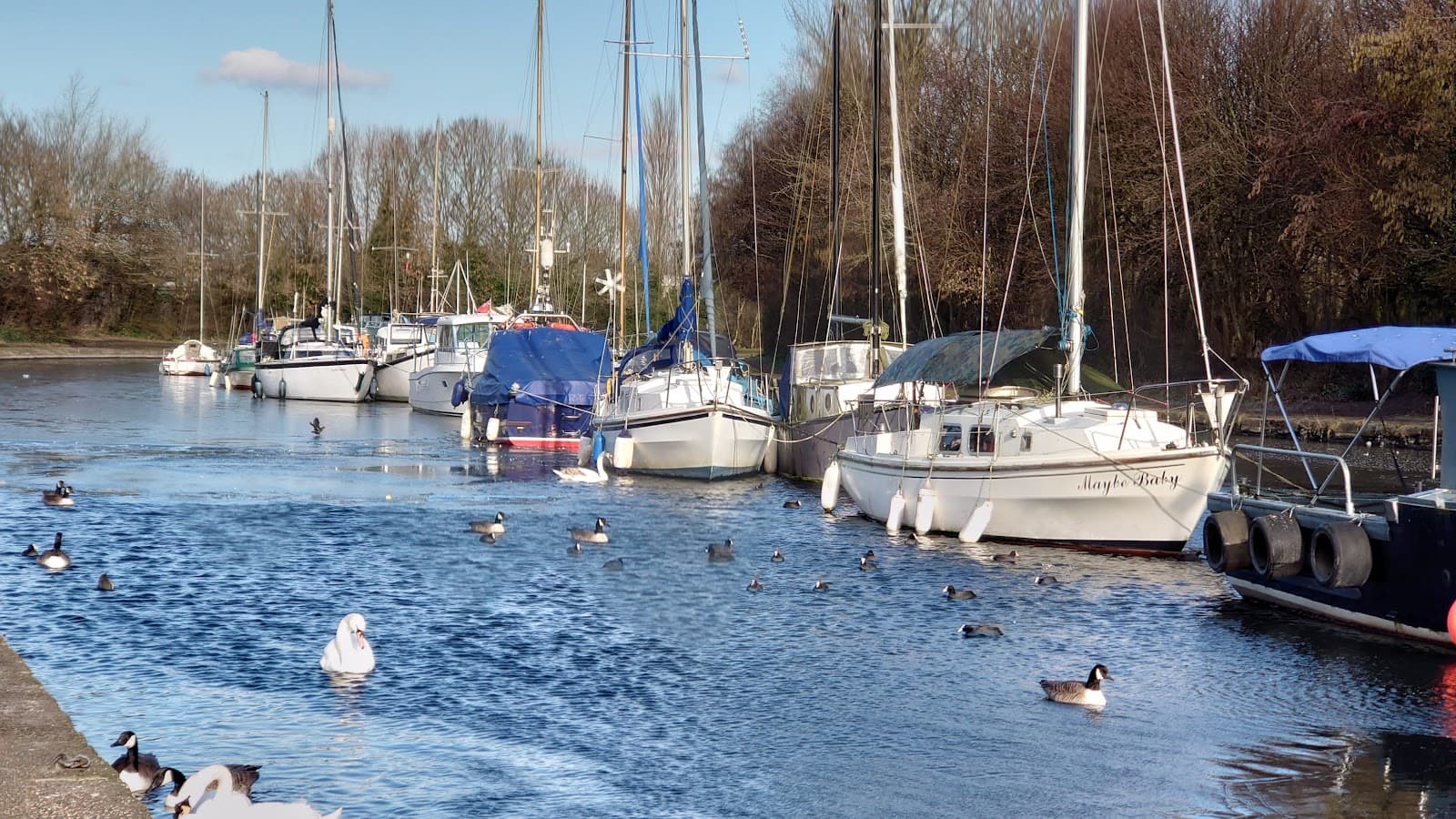 Trans Pennine Trail Altrincham-Lymm - Image 1