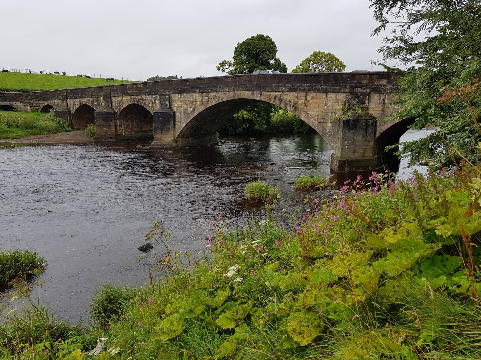 Edisford Bridge & Meadows - Image 1