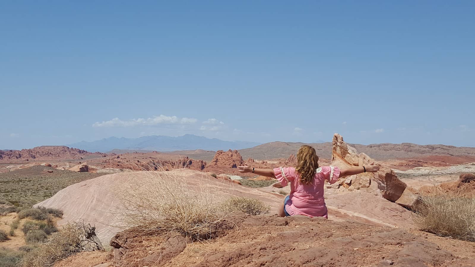 Historic Route 66 District